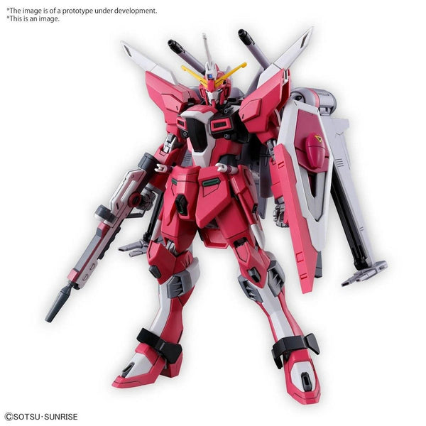 HG 1/144 Infinite Justice Gundam Type II